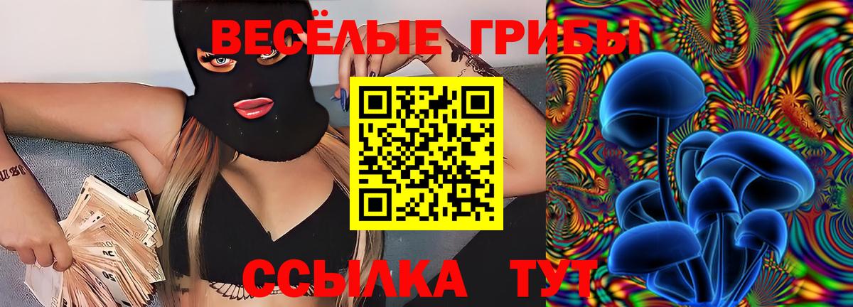 Псков  Галлюциногенные грибы Cubensis  закладки  Псилоцибиновые грибы GOLDEN TEACHER  Вход с VPN 